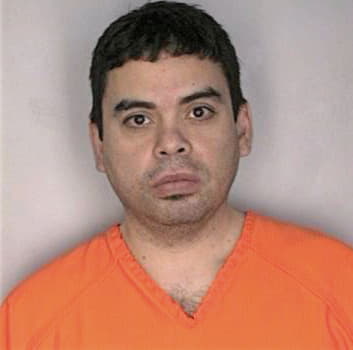 Medina Mauricio - Hillsborough County, FL 