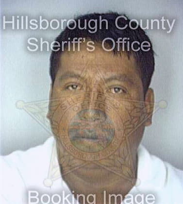 Rodriguez Laurencio - Hillsborough County, FL 