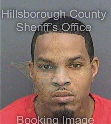 Timmons Eric - Hillsborough County, FL 