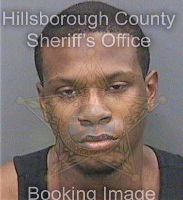 Wallace Chaz - Hillsborough County, FL 