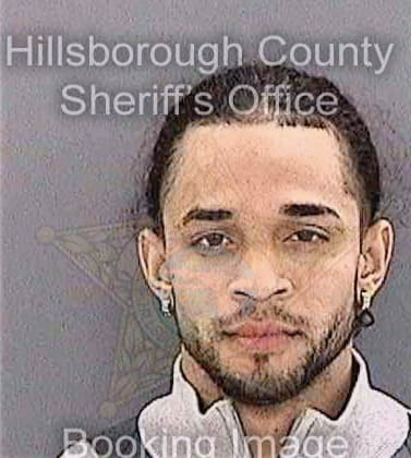 Silvestrehernandez Christopher - Hillsborough County, FL 