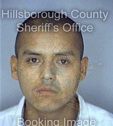 Carrecto Hector - Hillsborough County, FL 