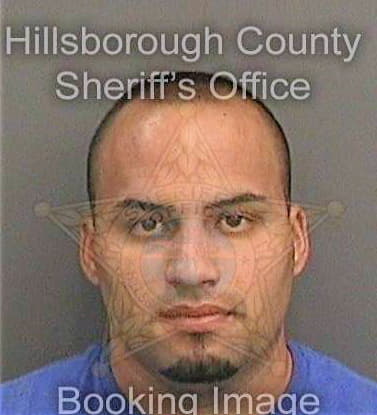 Martinez Yasiel - Hillsborough County, FL 