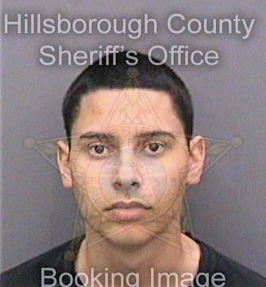 Gahlawat Nathan - Hillsborough County, FL 