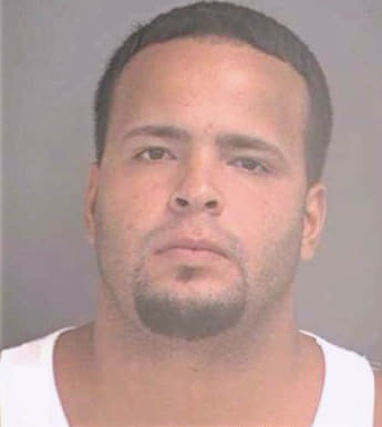 Feliciano Sherwin - Hillsborough County, FL 