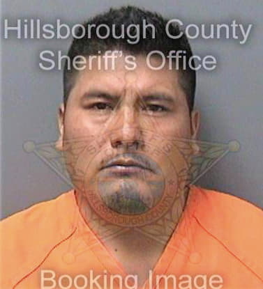 Josecruz Victor - Hillsborough County, FL 