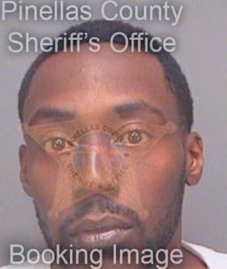 Bobb Damion - Pinellas County, FL 