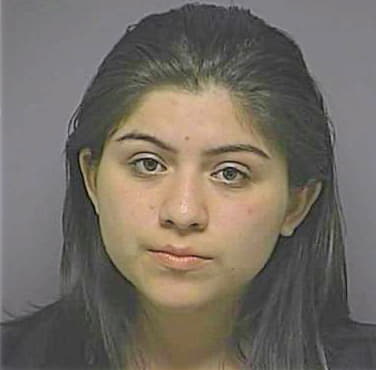 Mendez Moncia - Denton County, TX 