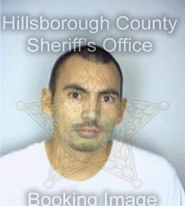 Medina Noel - Hillsborough County, FL 