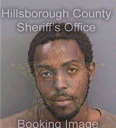 Lisenby Johnathan - Hillsborough County, FL 