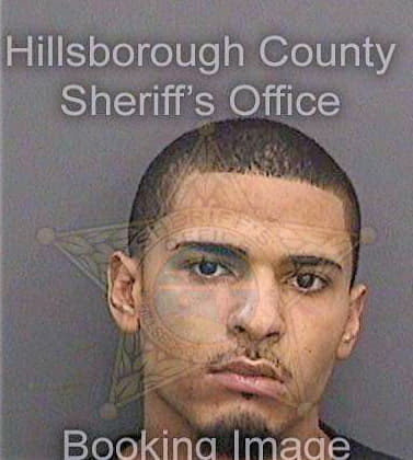 Speight Craig - Hillsborough County, FL 