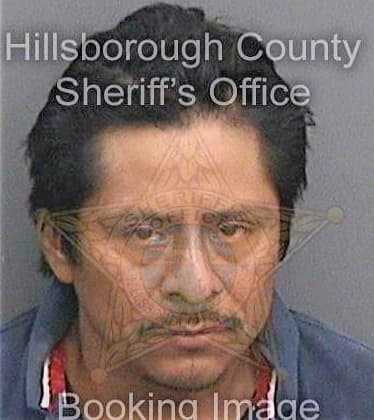 Sosagenaro Geraldo - Hillsborough County, FL 