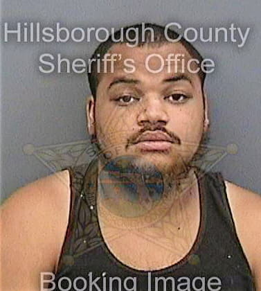 Chambers Angelo - Hillsborough County, FL 