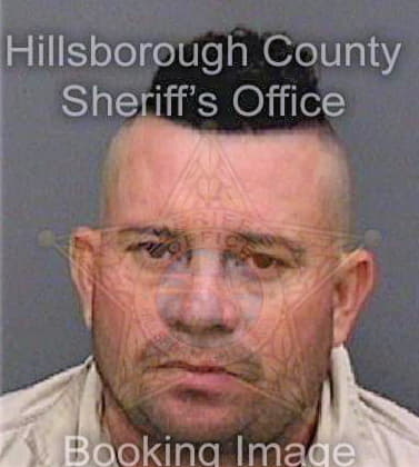Mejia Carlos - Hillsborough County, FL 