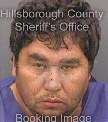 Gomez Jose - Hillsborough County, FL 