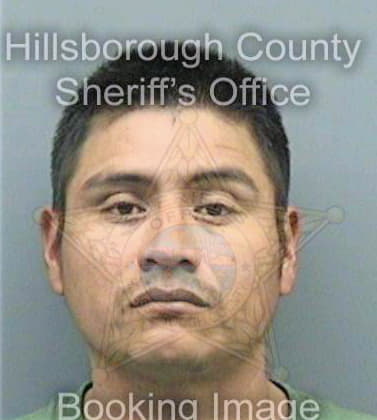 Deleon Teofilo - Hillsborough County, FL 