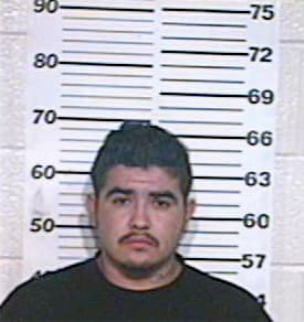 Valdez Josue - Hidalgo County, TX 