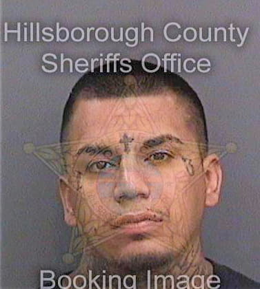 Ledesma Ricky - Hillsborough County, FL 