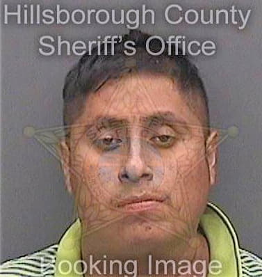 Hernandezhernandez Miguel - Hillsborough County, FL 