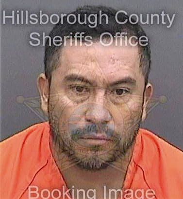 Benitez Demetrio - Hillsborough County, FL 