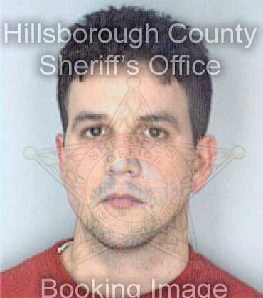 Michaud Gregory - Hillsborough County, FL 
