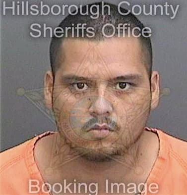 Dealejandrorodriguez Raul - Hillsborough County, FL 