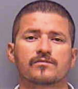 Cisneros Mario - Lee County, FL 