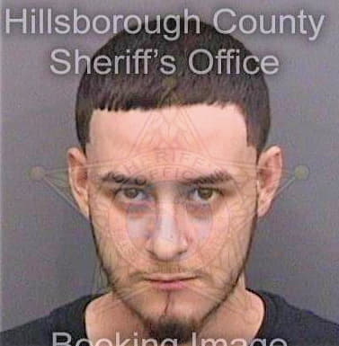 Delacruz Carlos - Hillsborough County, FL 