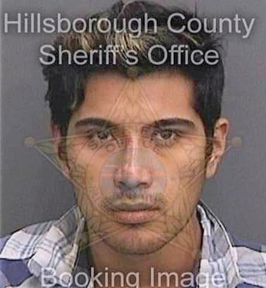 Reyeslopez Luis - Hillsborough County, FL 