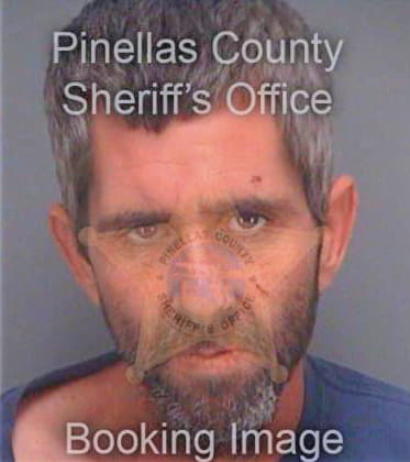 Lewis Ronald - Pinellas County, FL 