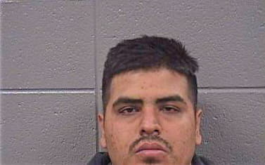 Hernandez David - Cook County, IL 