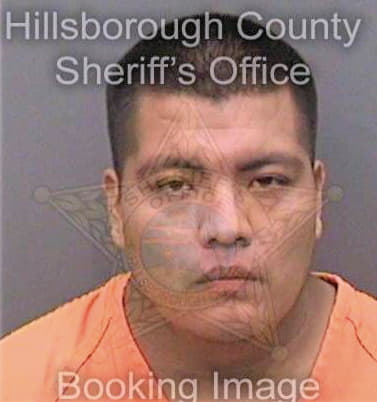 Tomasjuan Jorge - Hillsborough County, FL 