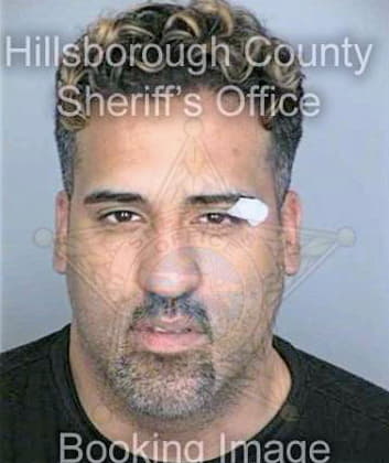 Merced Luis - Hillsborough County, FL 