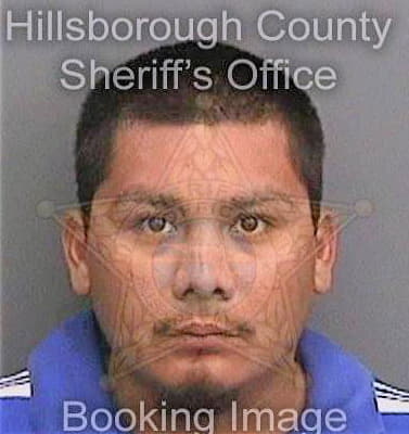 Garcia Pedro - Hillsborough County, FL 