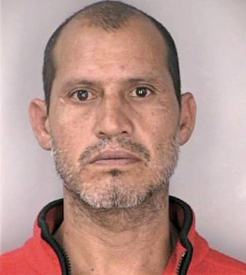 Medina Alfredo - Hillsborough County, FL 