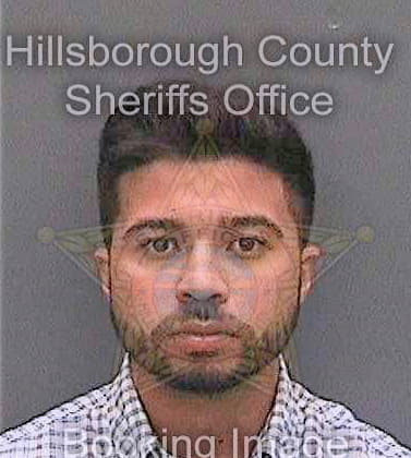 Ramirez Juan - Hillsborough County, FL 