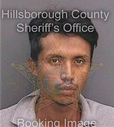 Espinoza Misael - Hillsborough County, FL 