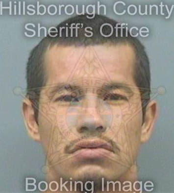 Sierra Damian - Hillsborough County, FL 