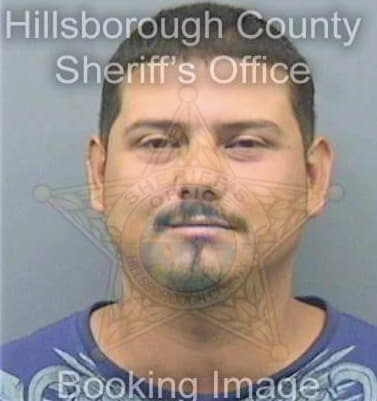 Arias Daniel - Hillsborough County, FL 