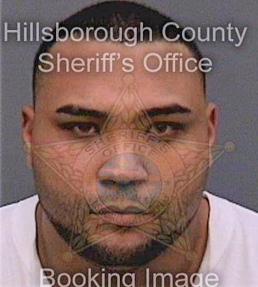 Colon Heriberto - Hillsborough County, FL 