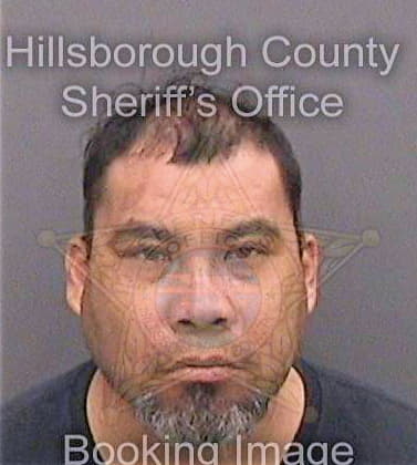 Reza Hugo - Hillsborough County, FL 