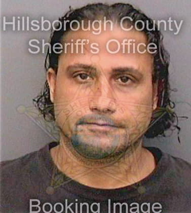 Dejesus Alfonso - Hillsborough County, FL 