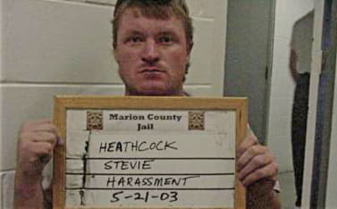 Heathcock Stevie - Marion County, AL 