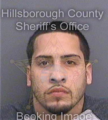 Medina Joshua - Hillsborough County, FL 