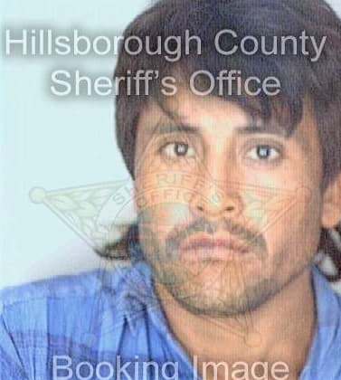 Sanchez Margarito - Hillsborough County, FL 