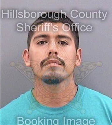 Torres Jorge - Hillsborough County, FL 