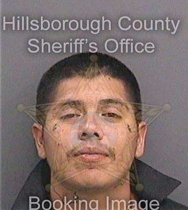 Lopez Leonard - Hillsborough County, FL 