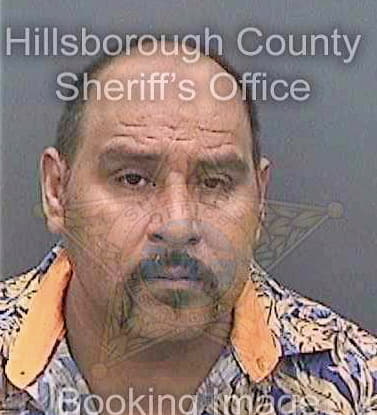 Mendoza-Medina Jose - Hillsborough County, FL 