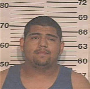 Perez Jose - Hidalgo County, TX 