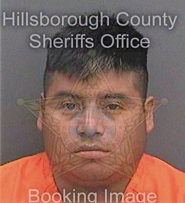 Mendezruiz Juan - Hillsborough County, FL 